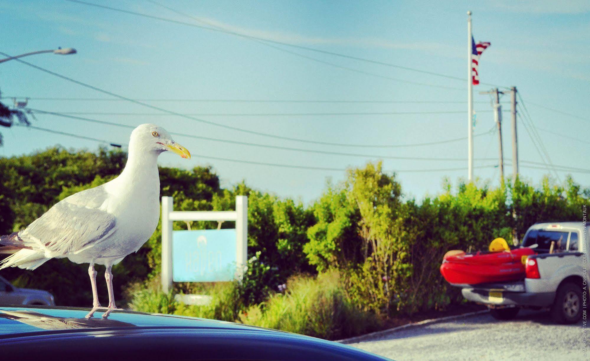 Haven Montauk Hotel Bagian luar foto